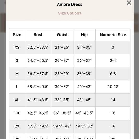 AMARYLLIS Amore Dress - Picture 5 of 5